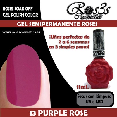 13-Purple Rose 